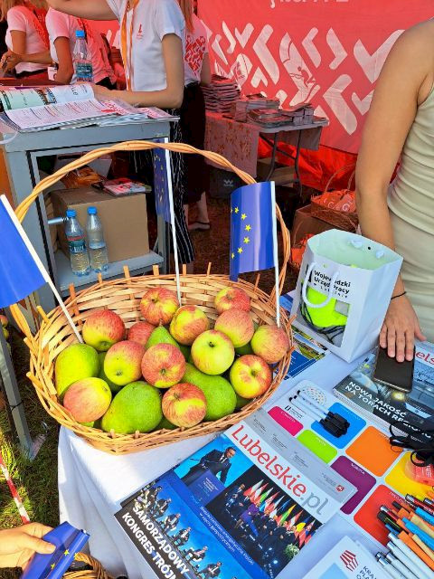 Kosz z owocami stojący przy materiałach promocyjnych