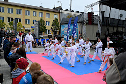 Rodzinny Piknik Europejski – 29 września 2024 r. Biłgoraj.