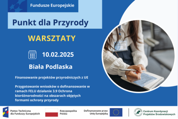 Grafika przedstawiająca warsztaty dotycząca przygotowania i realizacji projektów